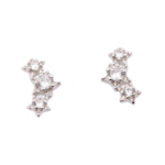 Sparkling Flower Studs - Silver
